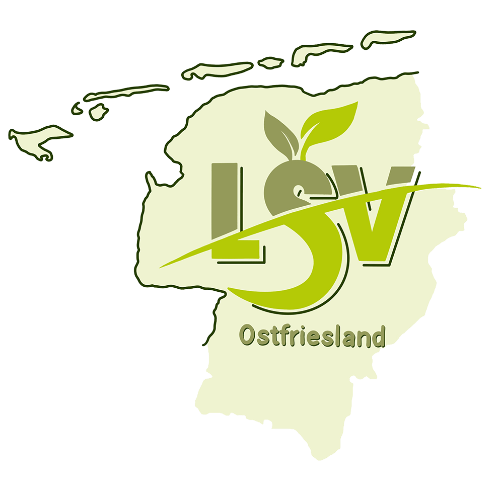 LSV Logo